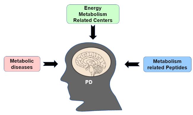 PDF) Neuro-Vulnerability in Energy Metabolism Regulation: A