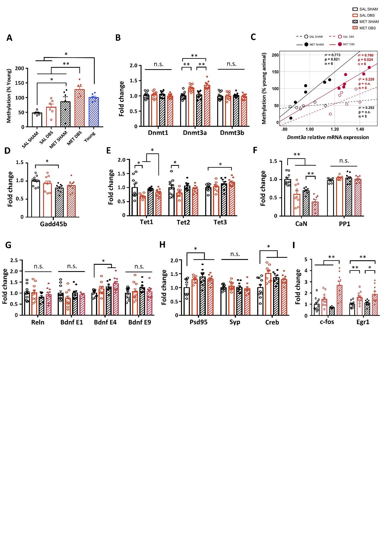 https://www.aginganddisease.org/article/2023/2152-5250/148296/AD-14-1-112-g2.jpg