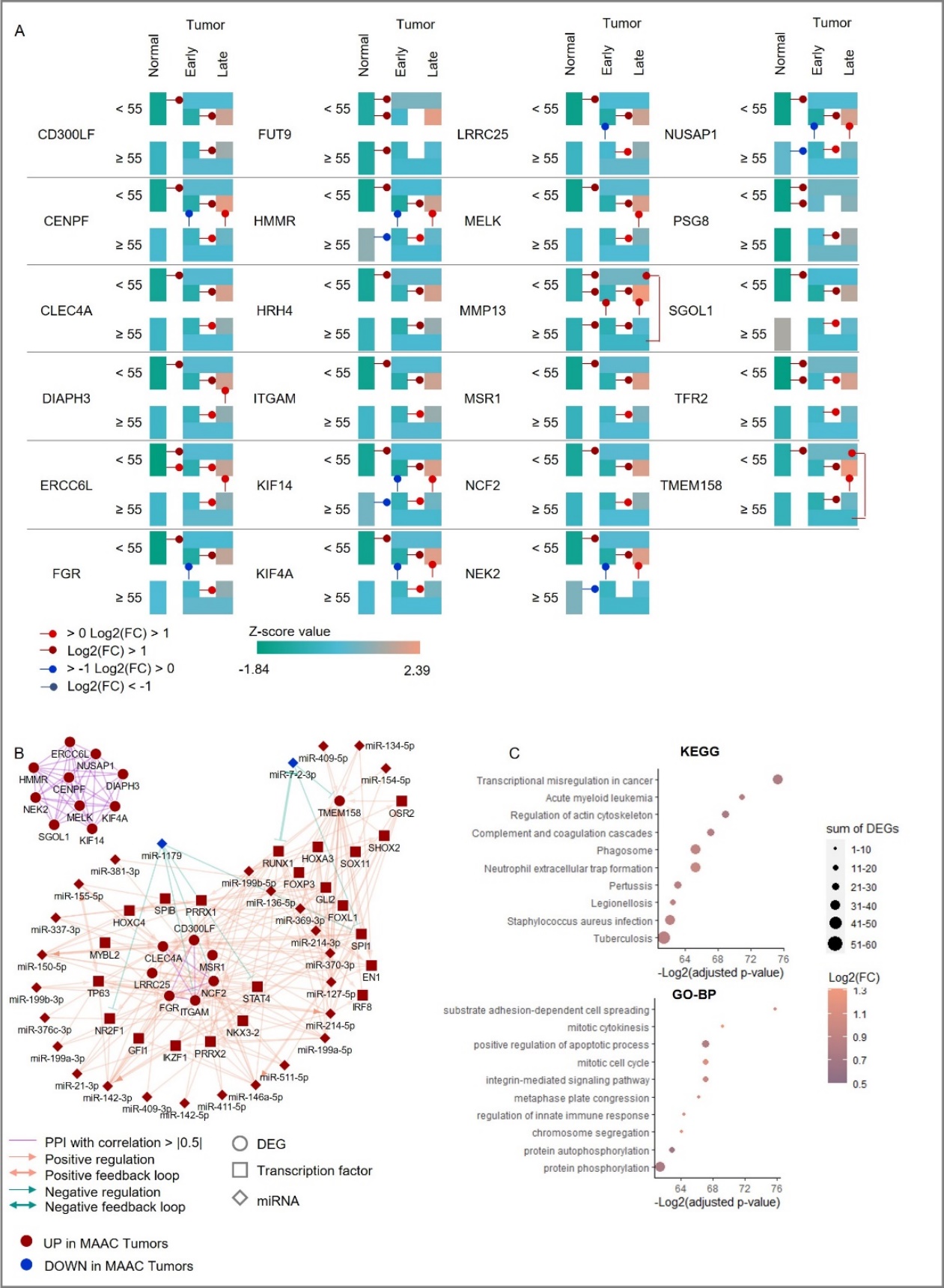 An Integrative Multi-Omics Analysis of The Molecular Links between