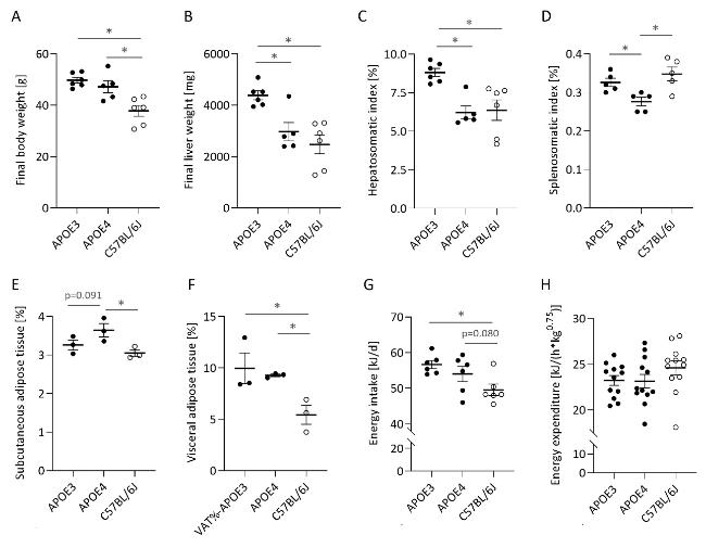 canny calculate protein cholesterol fat calories