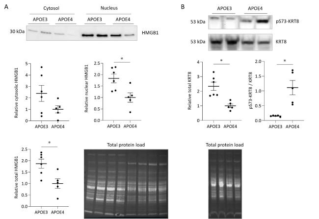 canny calculate protein cholesterol fat calories