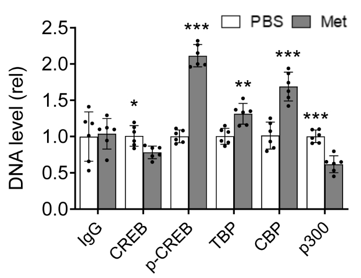 Metformin Treatment Leads to Increased HIV Transcription and 